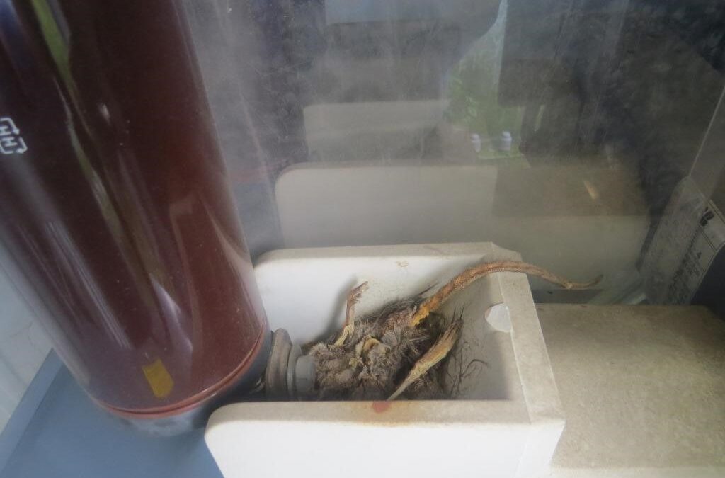 Transformer inspektioner